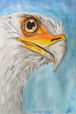 Geschilderde secretaris vogel